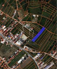 plac   Beograd  Mali mokri lug    Studenac