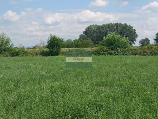 plac   Jagodina  -    