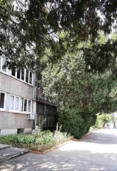 stanovi   Beograd  Autokomanda    Triše Kaclerovića