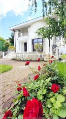 kuće   Beograd  -    