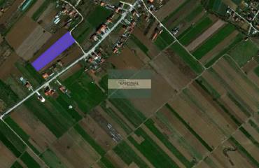 plac   Jagodina  -    