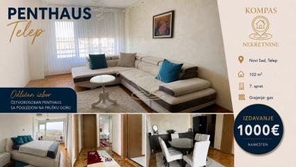 stanovi   Novi Sad  -    