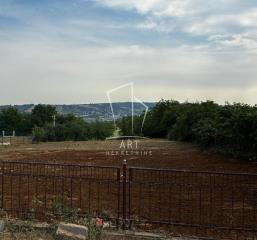 plac   Beograd  Zuce    Danice Tomić