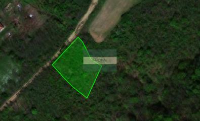 plac   Jagodina  -    