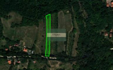plac   Jagodina  -    