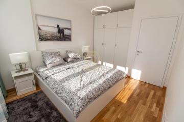 stanovi   Beograd  -    