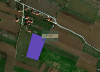 plac   Jagodina  -    