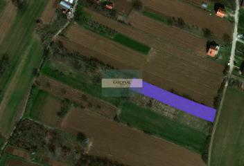 plac   Jagodina  -    
