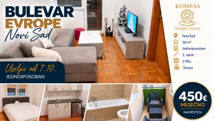 stanovi   Novi Sad  -    