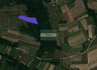 plac   Jagodina  -    