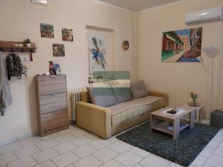 stanovi   Novi Sad  -    