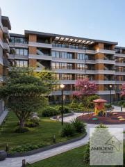 stanovi   Beograd  -    