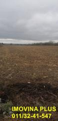 plac   Beograd  -    