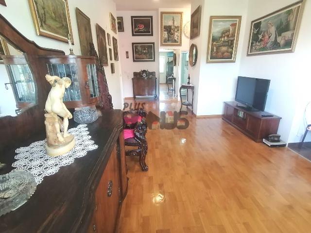 stanovi   Beograd  Kanarevo Brdo    Petra Konjovića