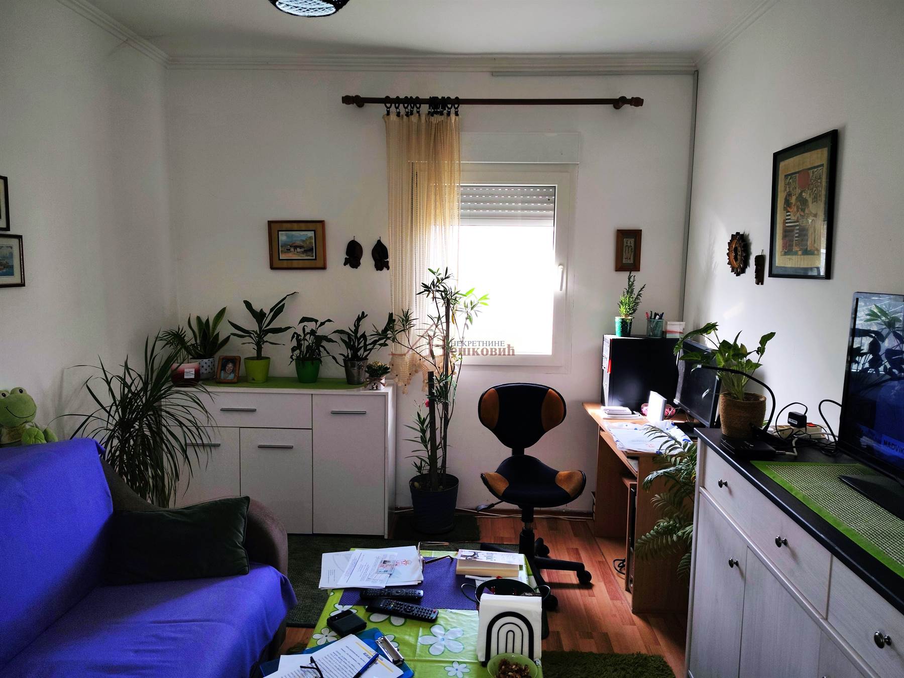 stanovi   Beograd  Surčin naselje    