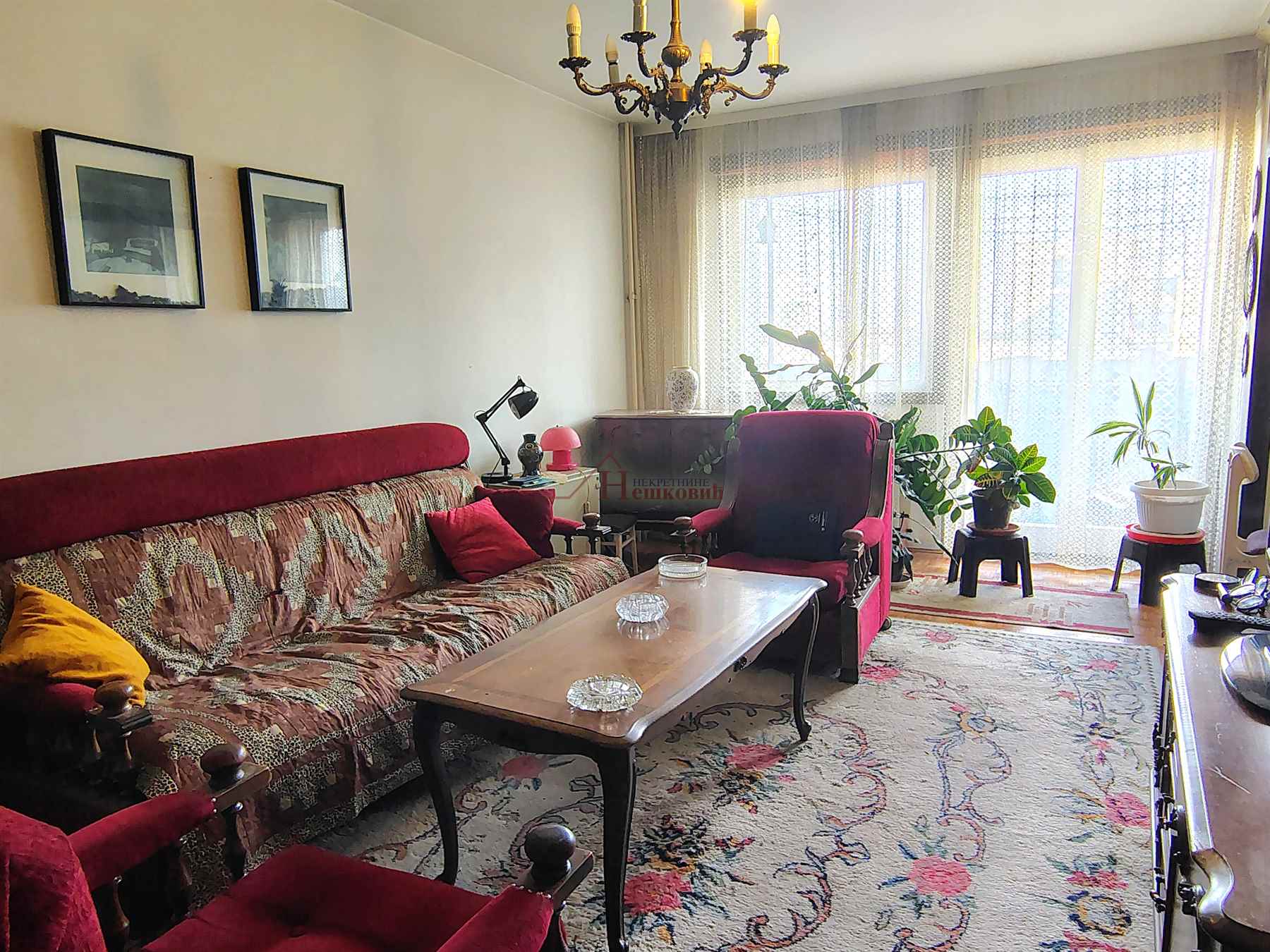 stanovi   Beograd  Bežanijski blokovi (61 do 64)    DR Ivana Ribara