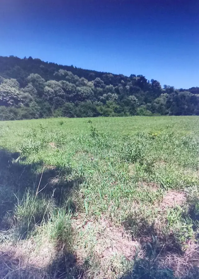 plac Sopot - 75000 evra