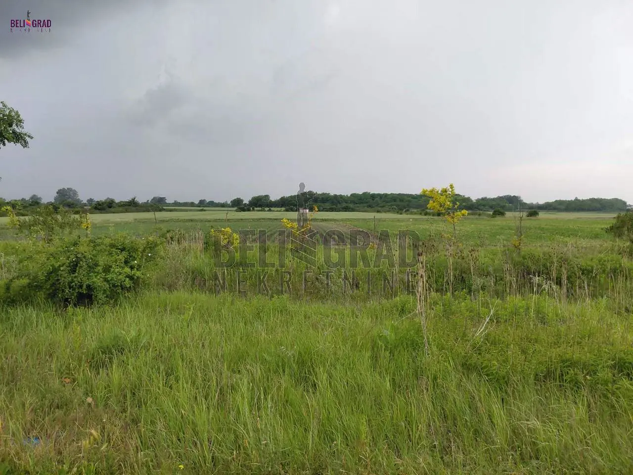 plac Palilula Ovča 450000 evra 