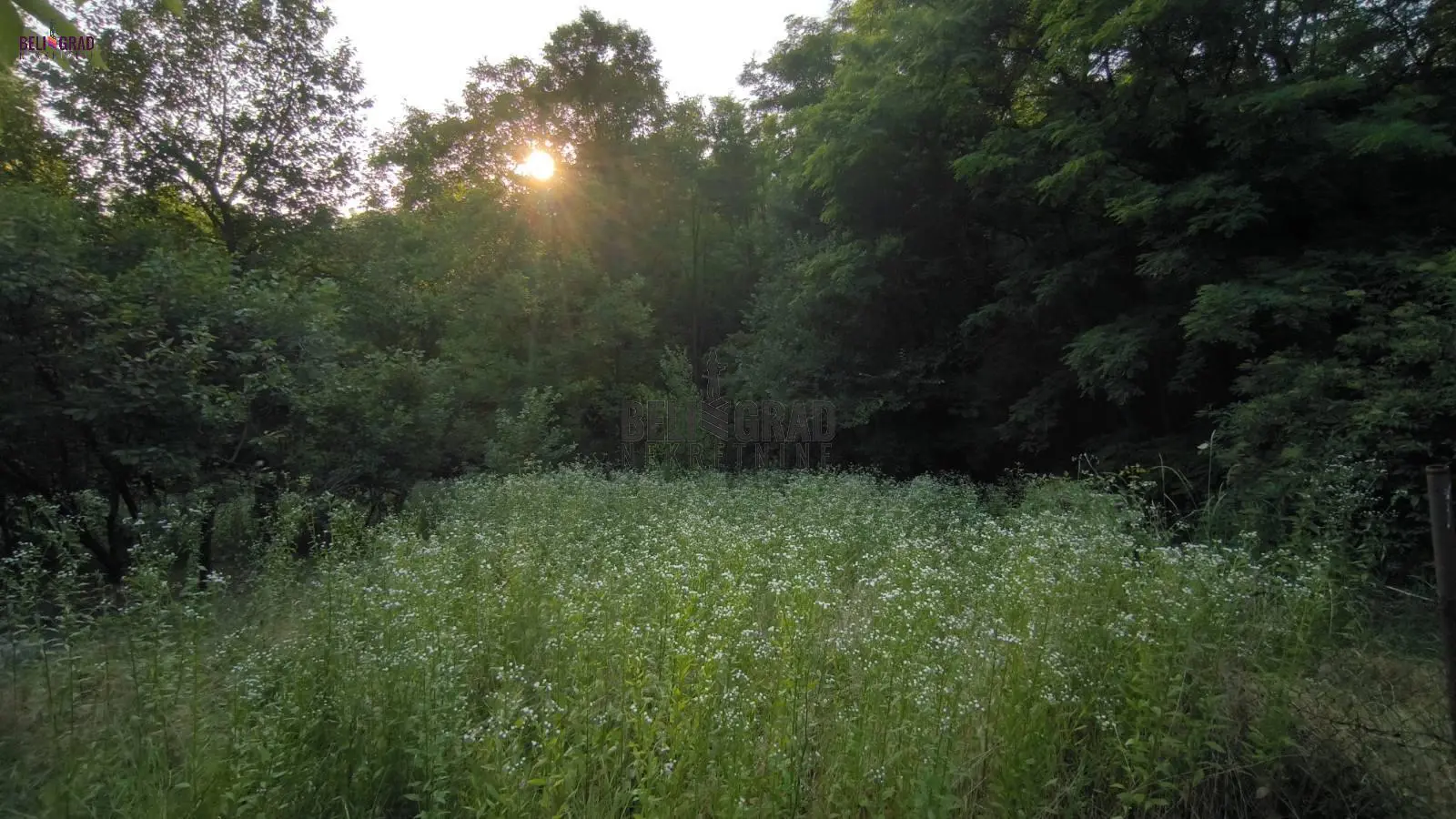 plac Barajevo Barajevo 15000 evra 