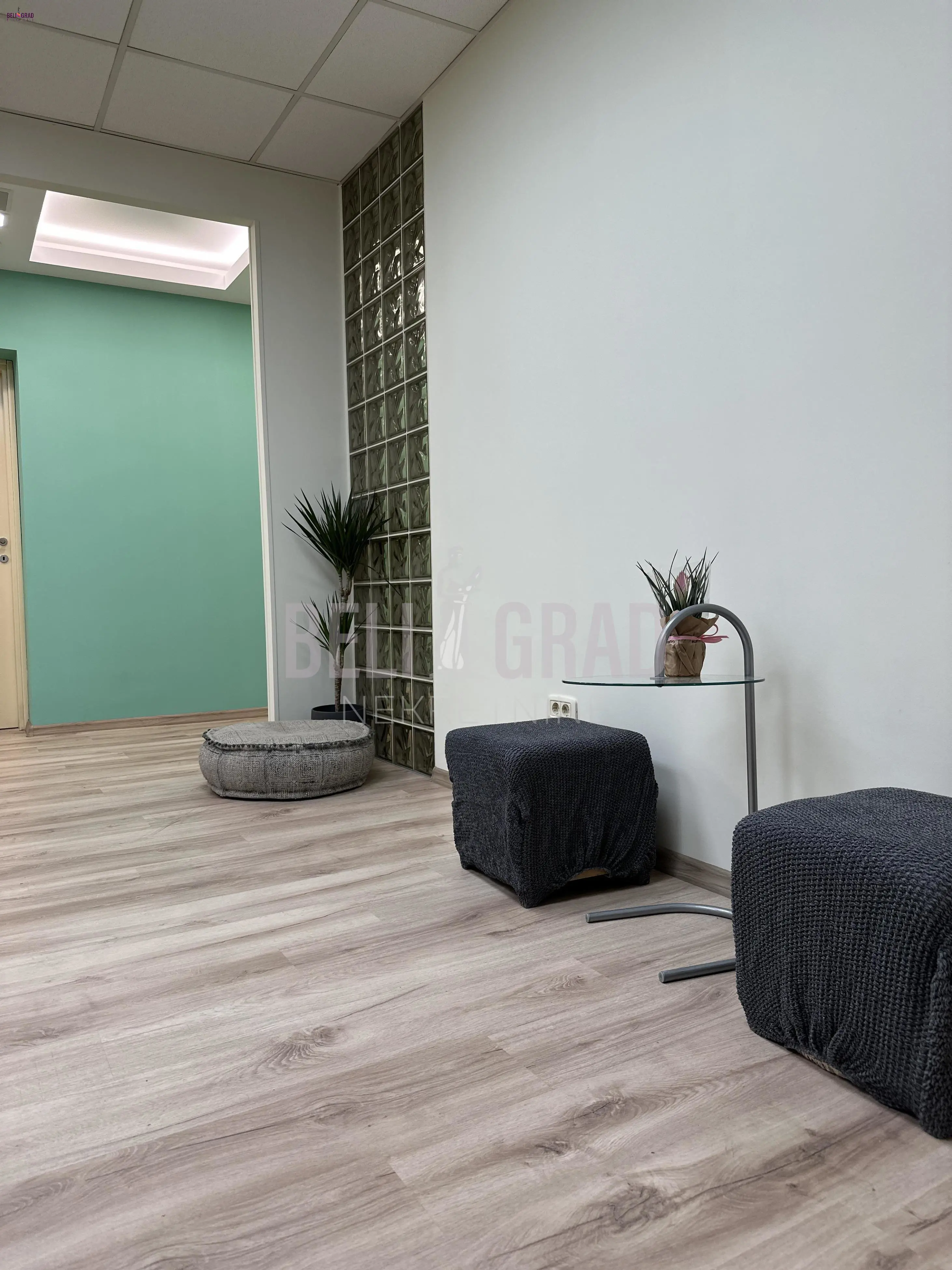 poslovni prostor Beograd Cara Uroša 