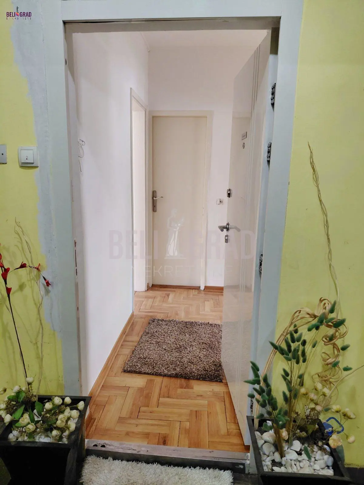 poslovni prostor Palilula Palilula lokacija 1100 evra 