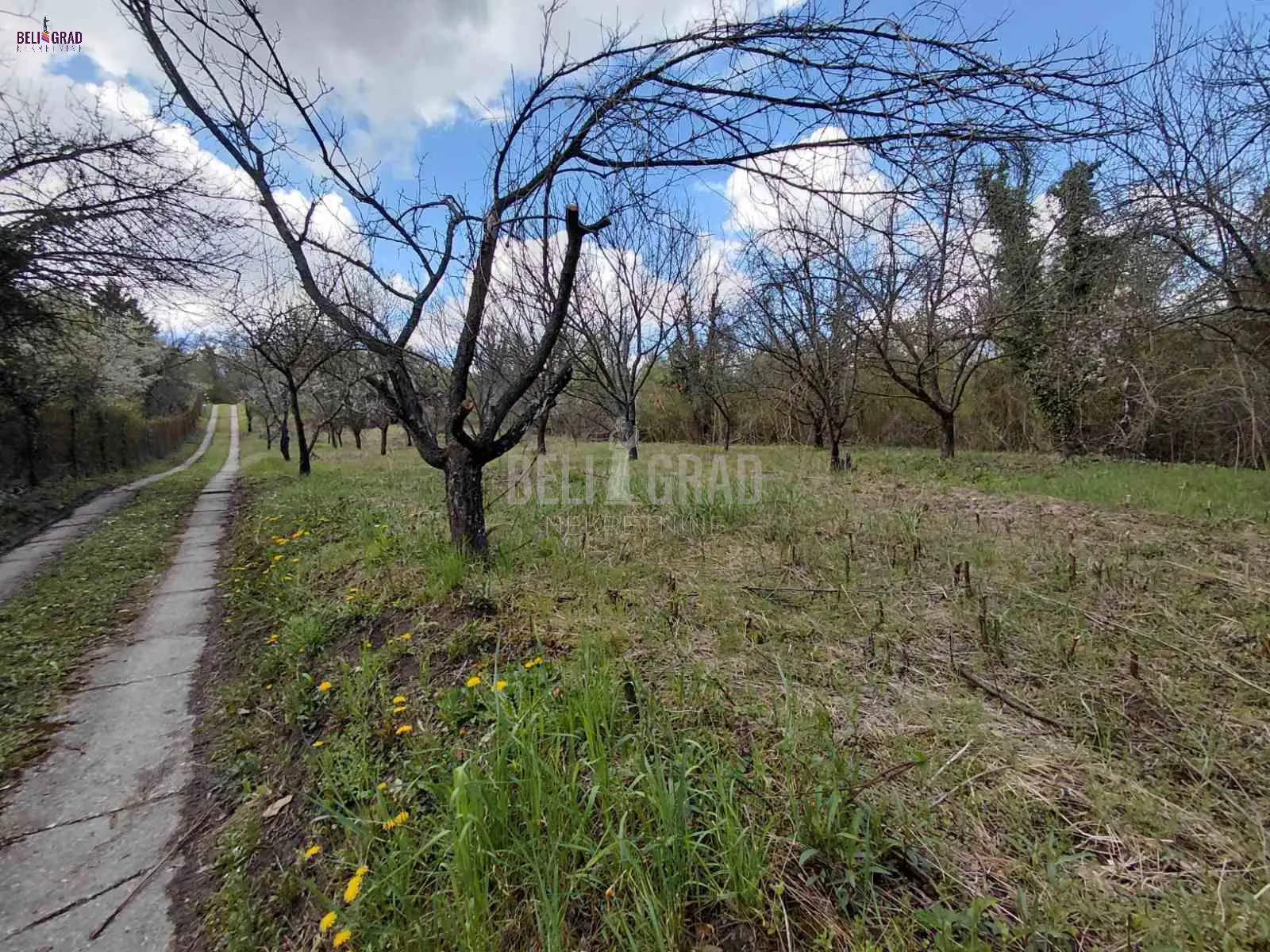 plac Beograd Veliki Dubočaj 