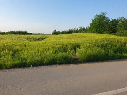  uknjizeni plac Čukarica Velika Moštanica 450 evra 