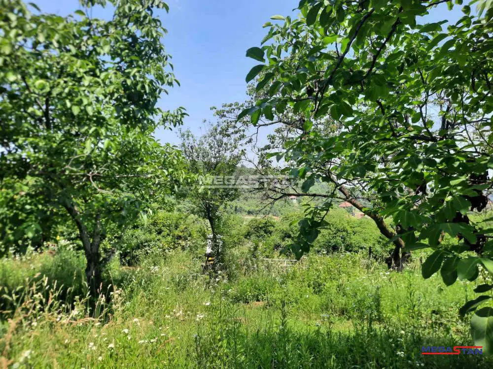 plac Palilula Slanci 88000 evra 