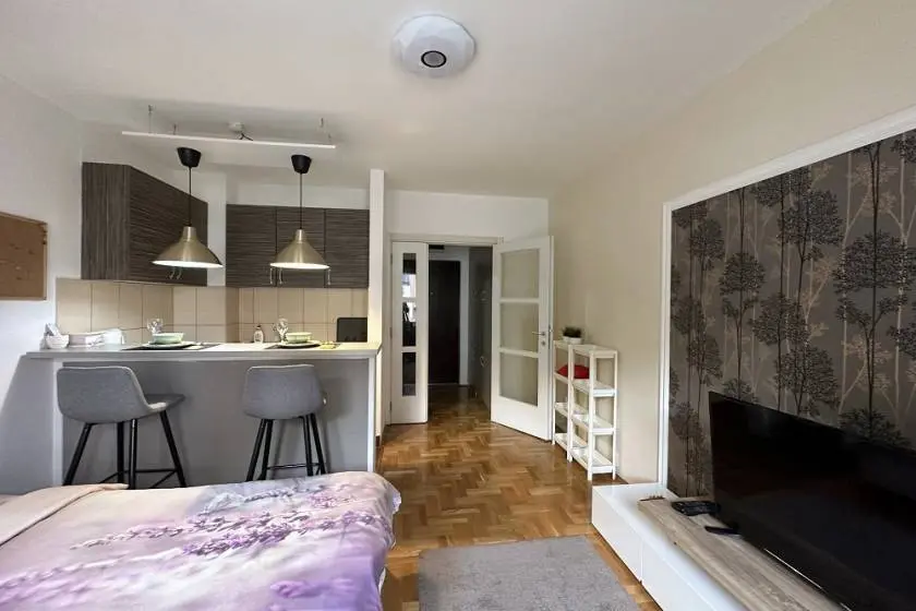  novogradnja Jednosoban stanovi Vračar Južni bulevar 500 evra 