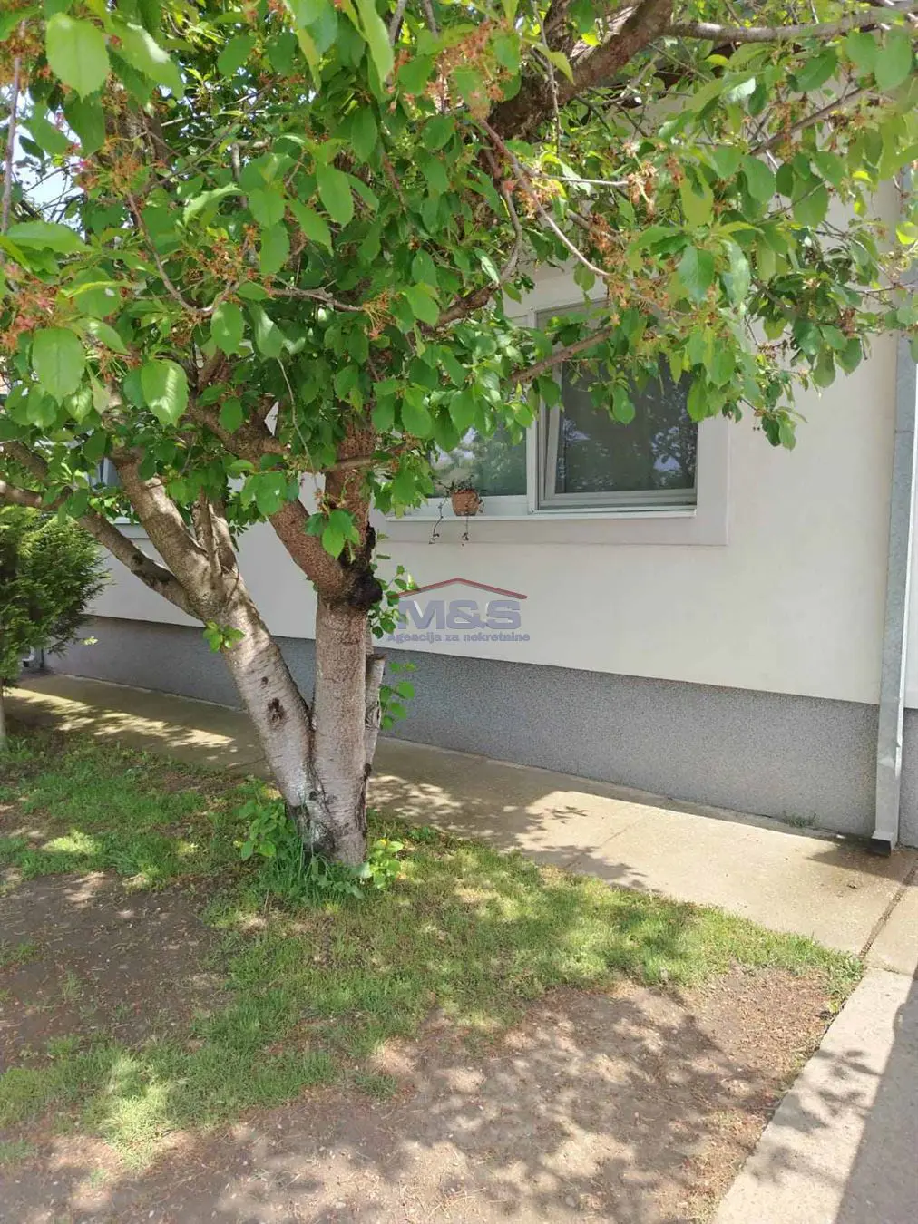 kuće Ruma Kasarna  uknjizeni 