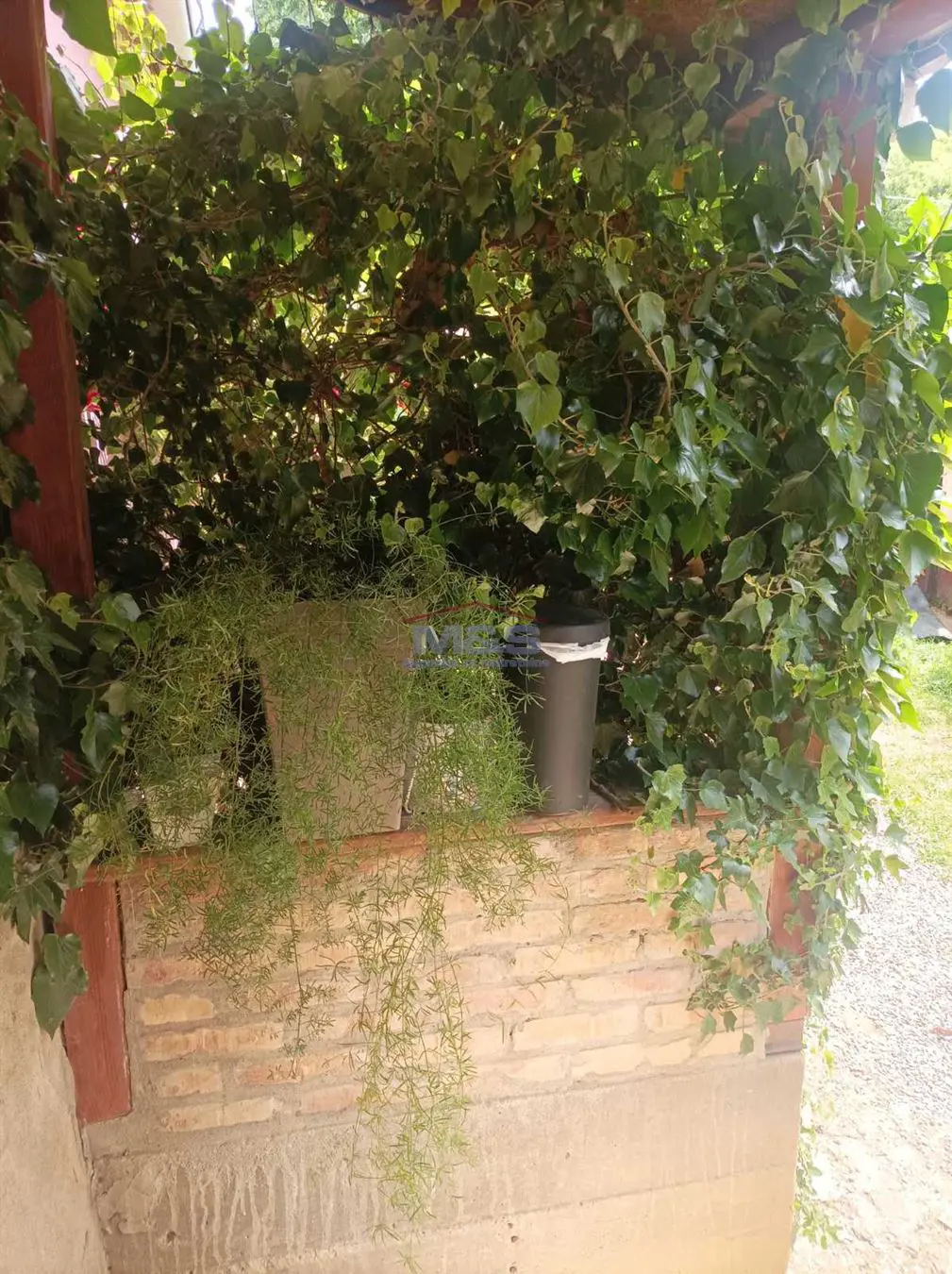 kuće Irig Jazak Jazak  uknjizeni 