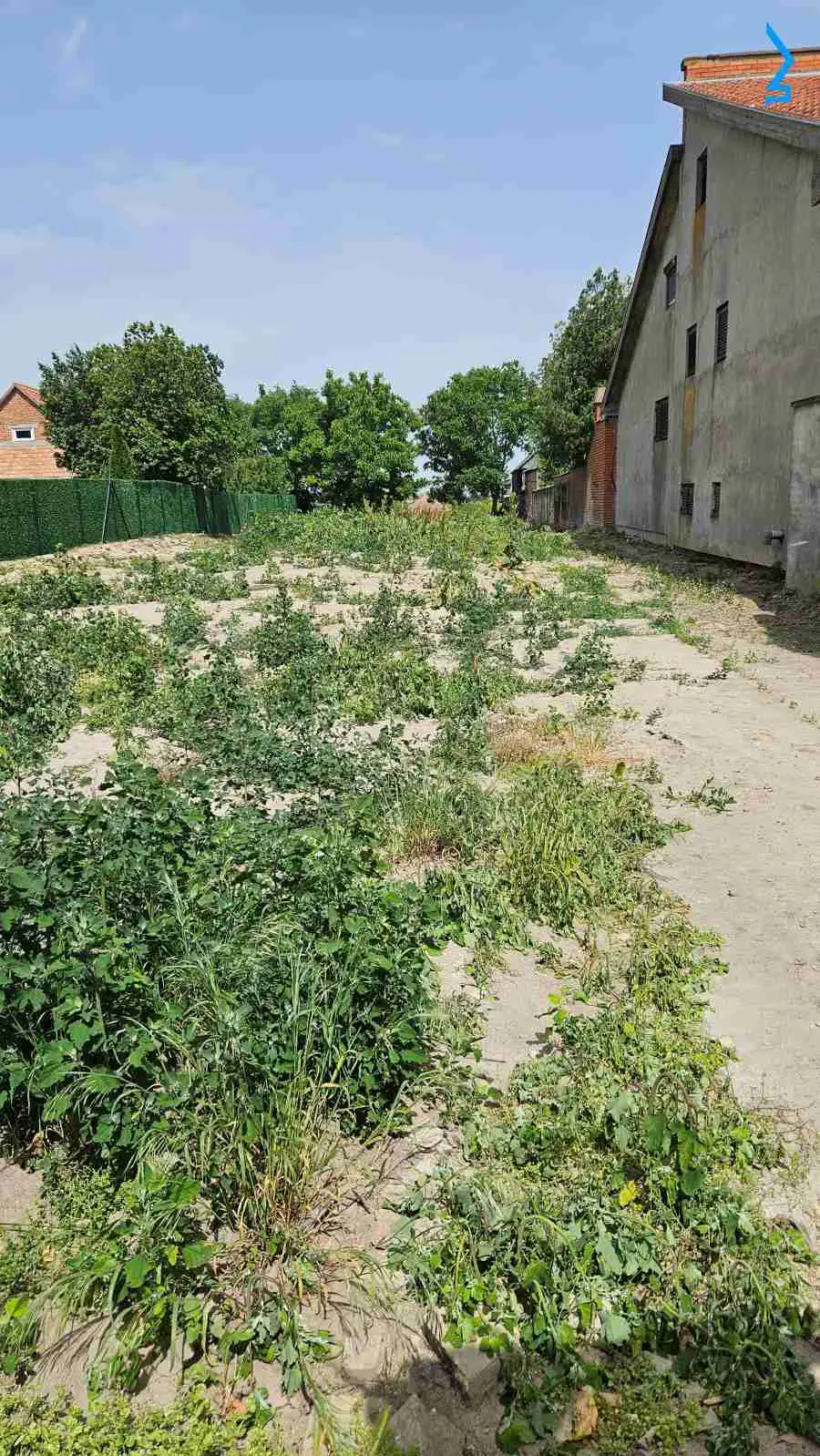 Indjija Indjija  uknjizeni plac 65000 evra 