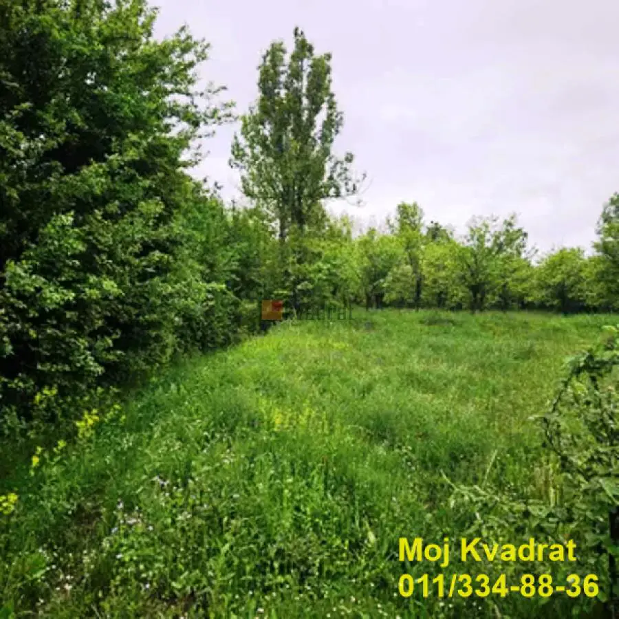 plac Beograd Slanci Maršala Tita  uknjizeni 