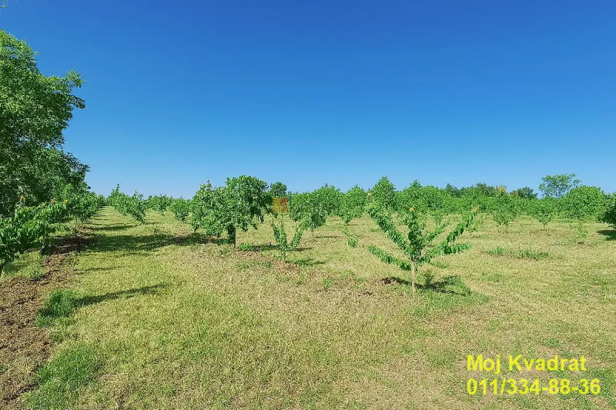  uknjizeni plac Grocka - 50000 evra 