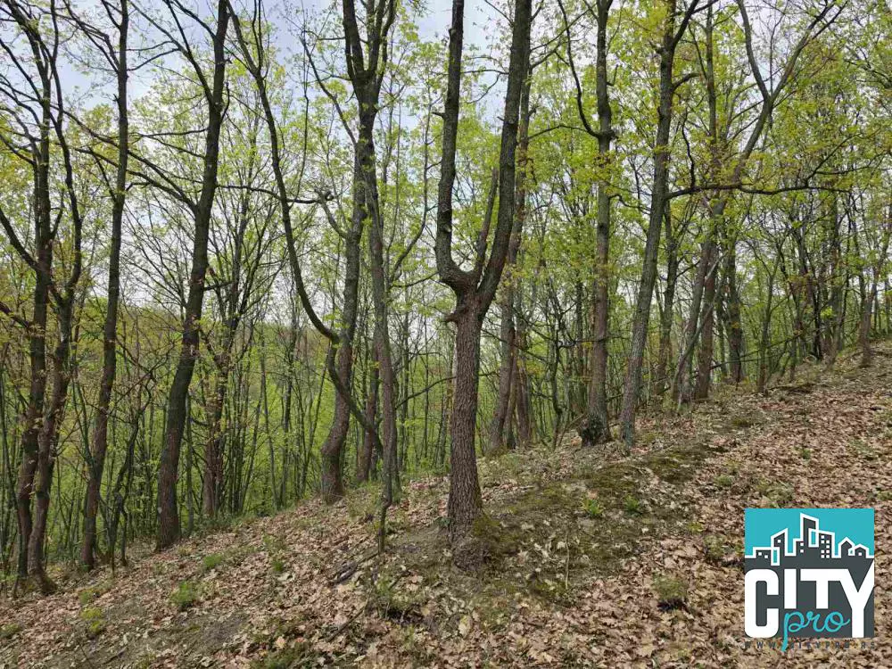 ŠUMADIJSKI OKRUG Aranđelovac šuma 18000 evra 