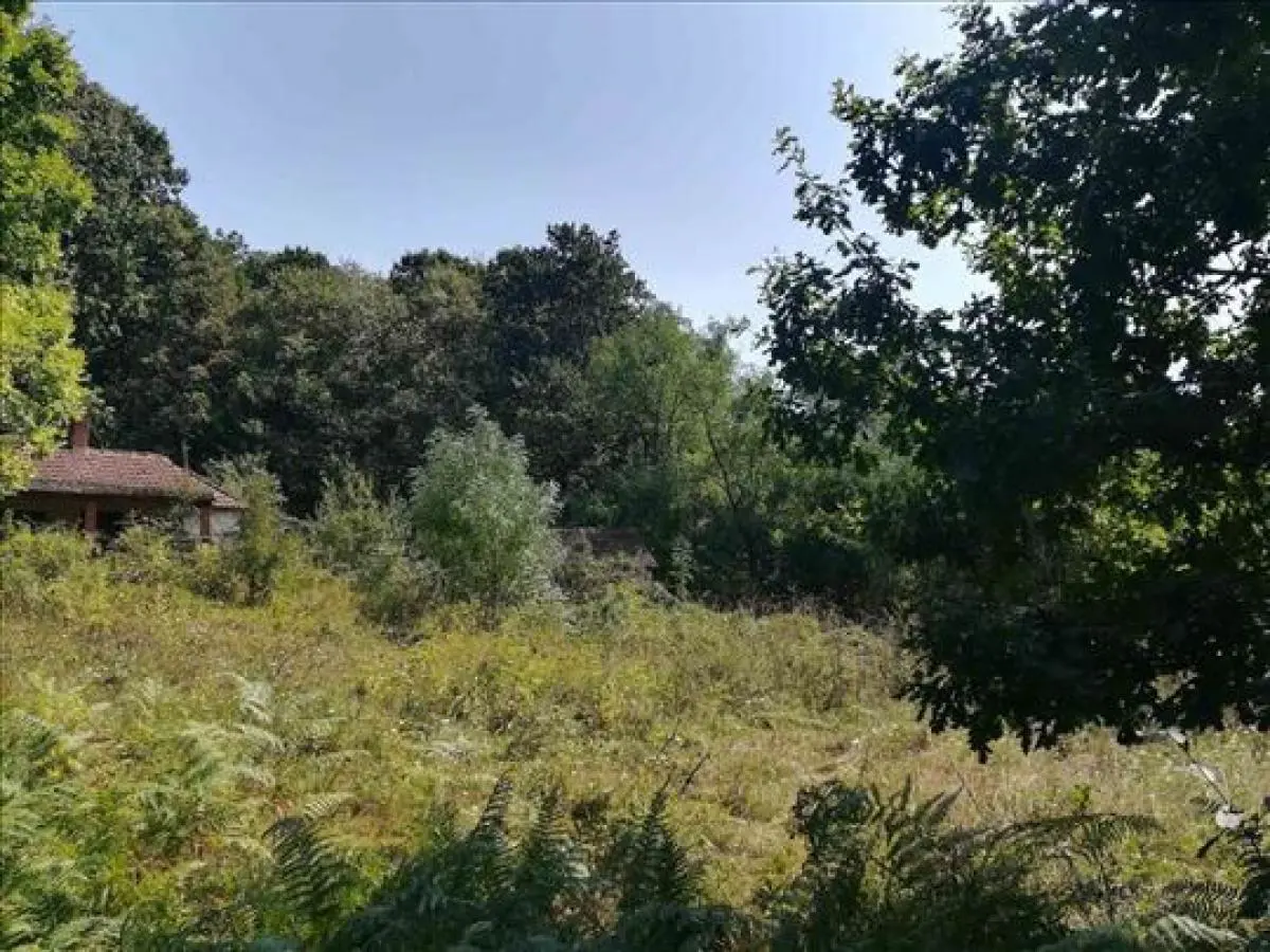 uknjizeni plac Okolina - 17000 evra 