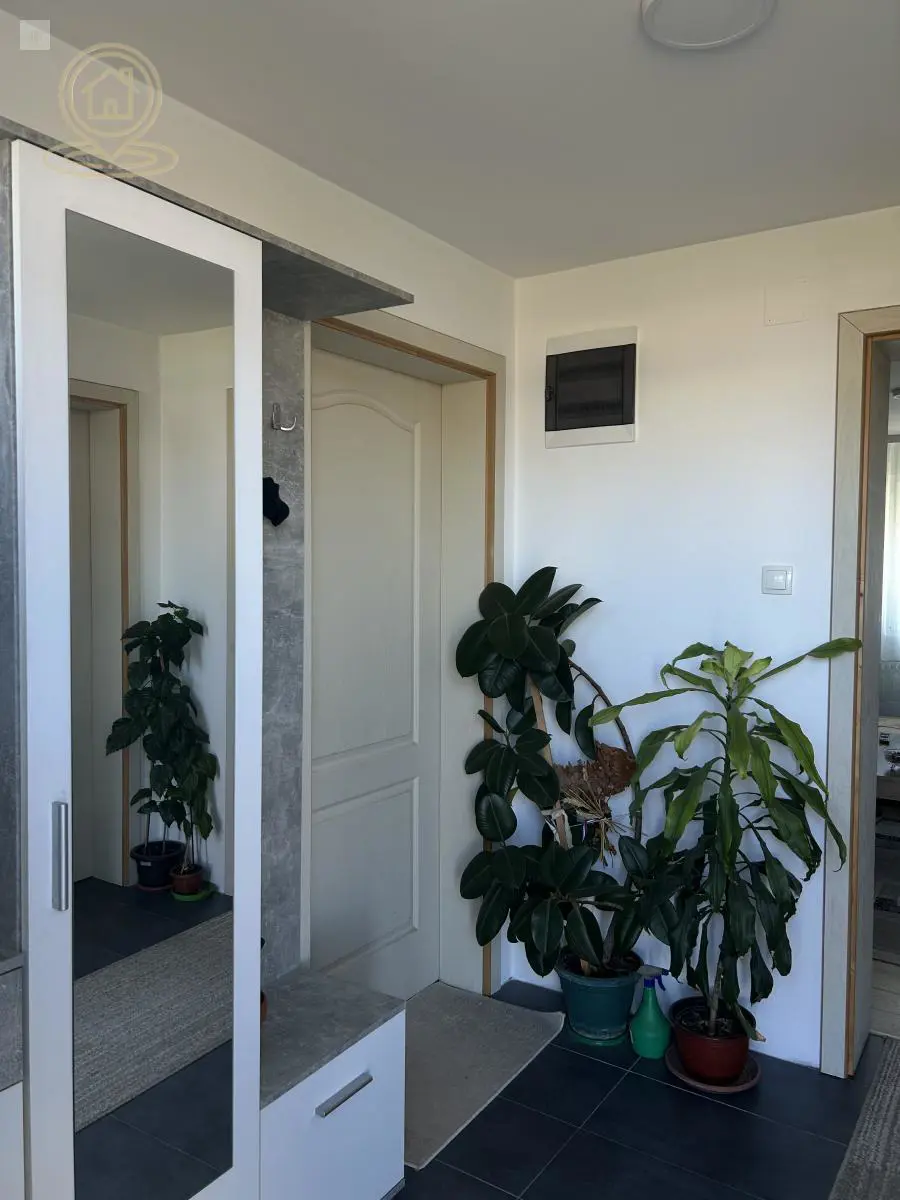 kuće Novi Sad  novogradnja 