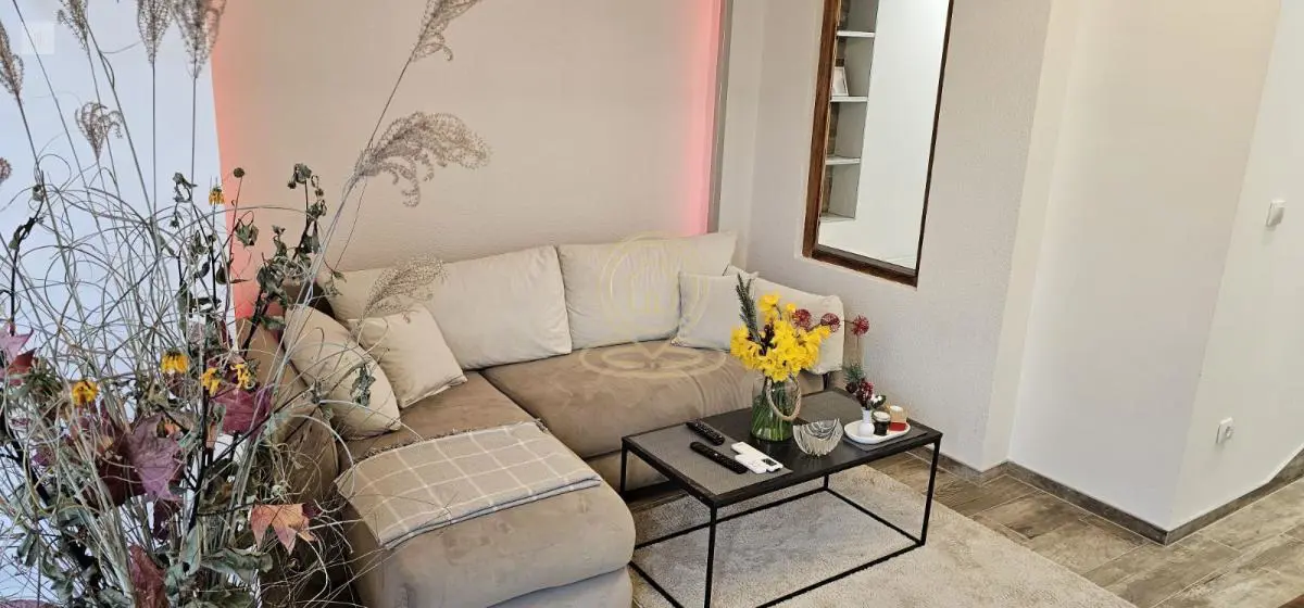 stanovi Vrnjačka Banja Jednosoban 