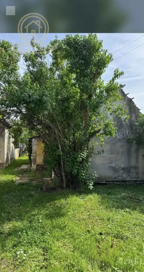 Novi Sad Futog kuće 52000 evra 