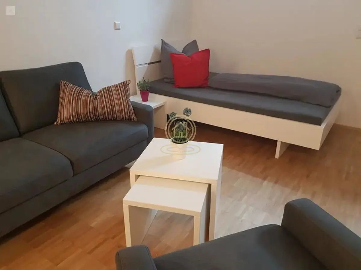 Jednosoban stanovi Nova detelinara - 300 evra 