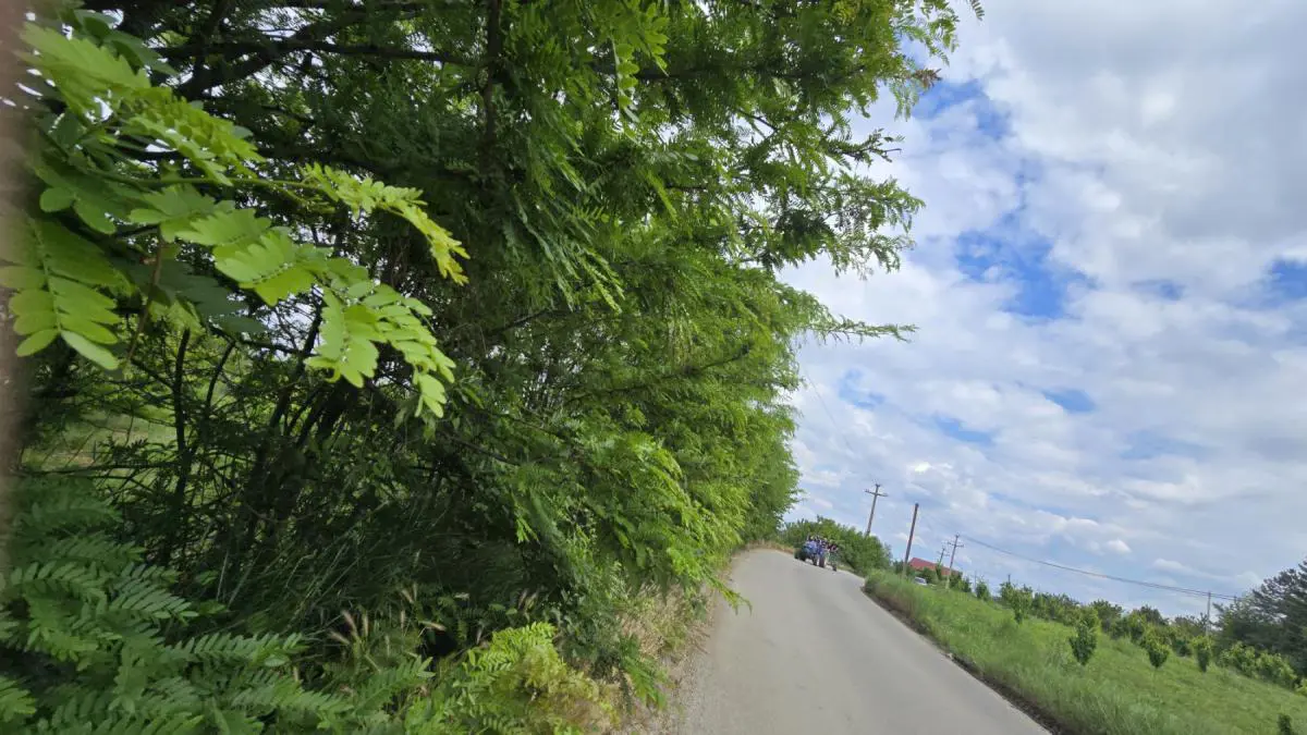  uknjizeni plac Grocka - 40250 evra 