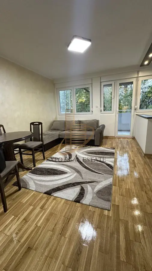 Beograd Novi Beograd Jednoiposoban stanovi 650 evra 