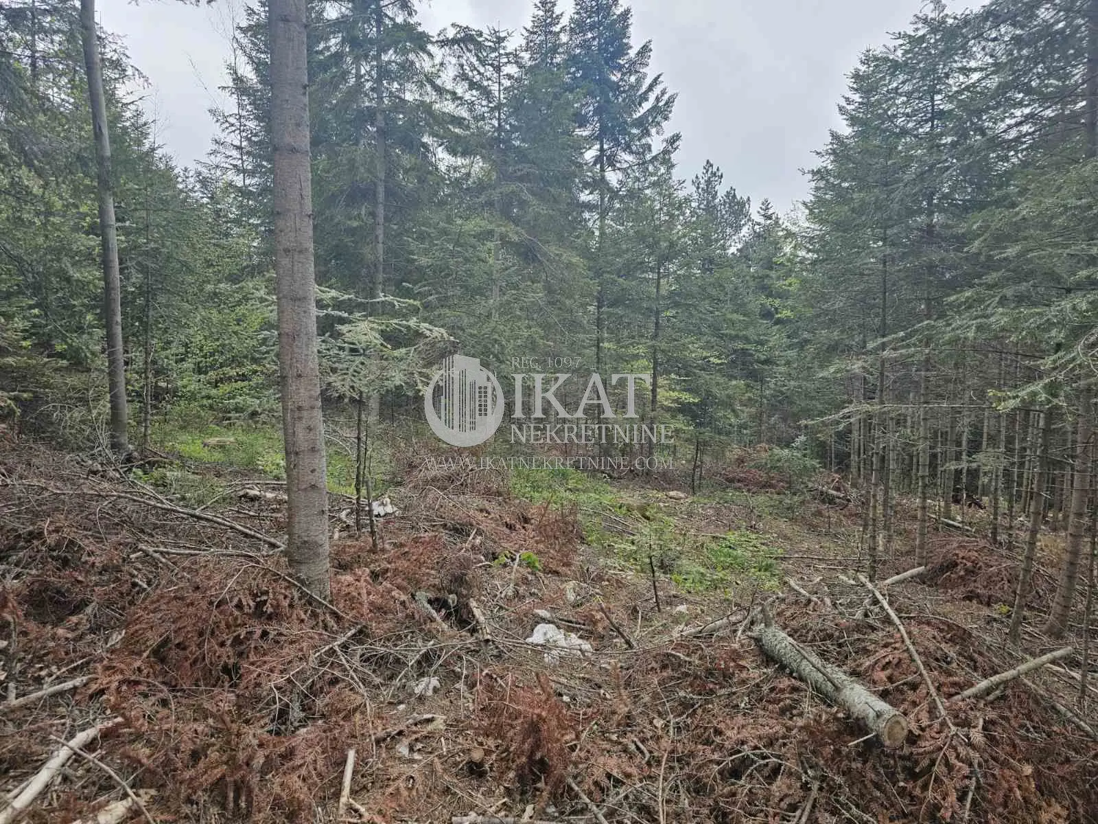 plac Tara Kaluđerske bare 17500 evra 