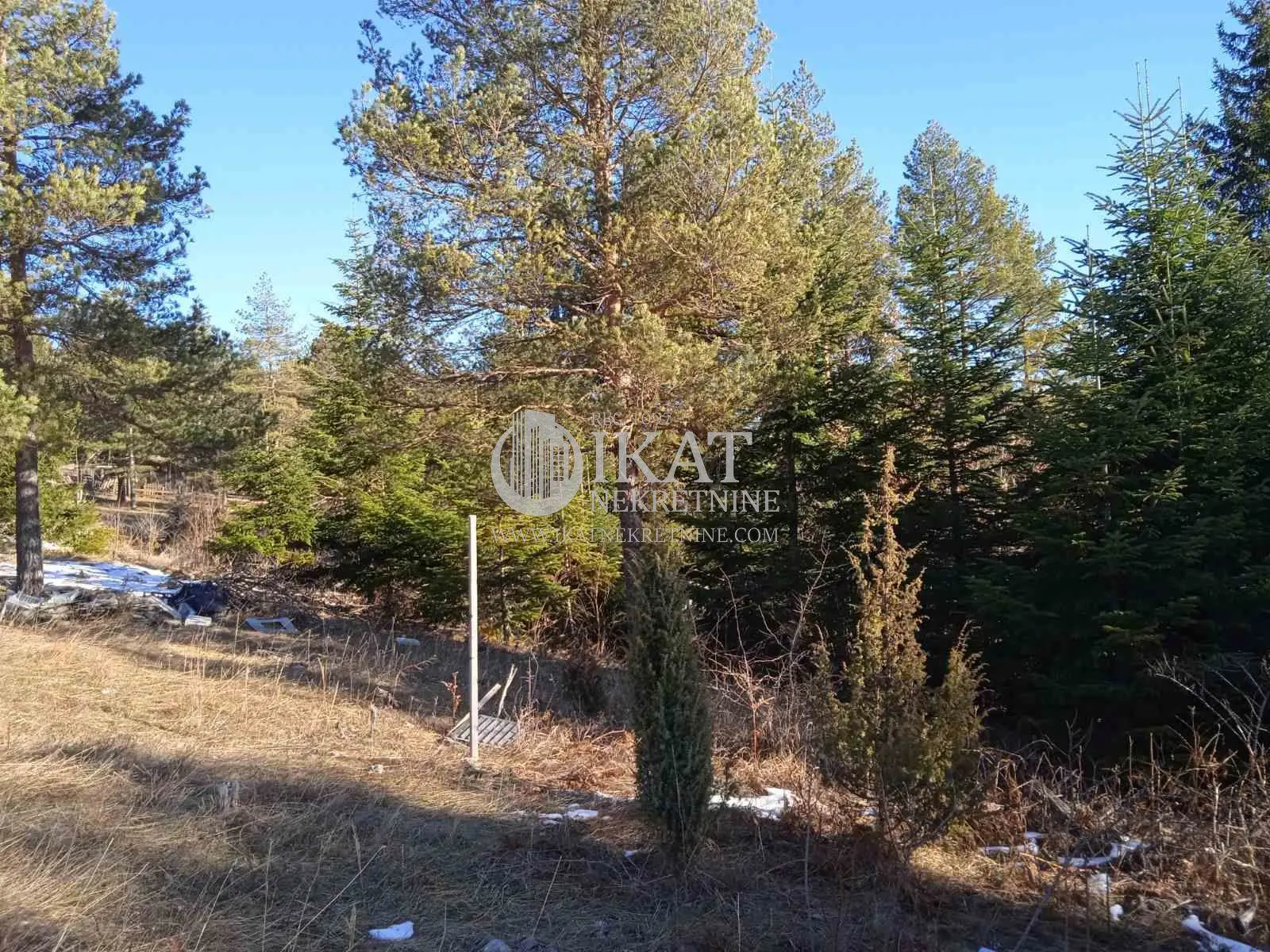 ZLATIBORSKI OKRUG Tara plac 38500 evra 