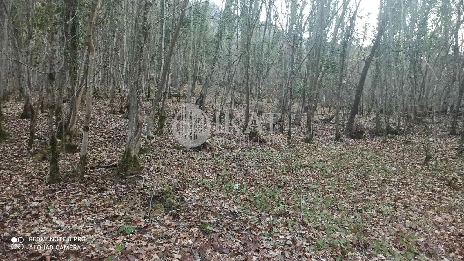 plac ZLATIBORSKI OKRUG 