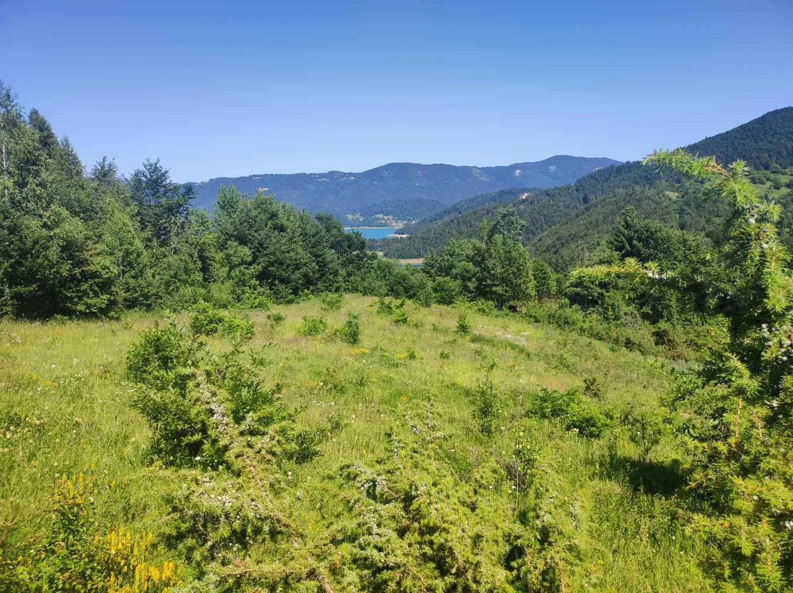 plac Tara Zaovine 33000 evra 