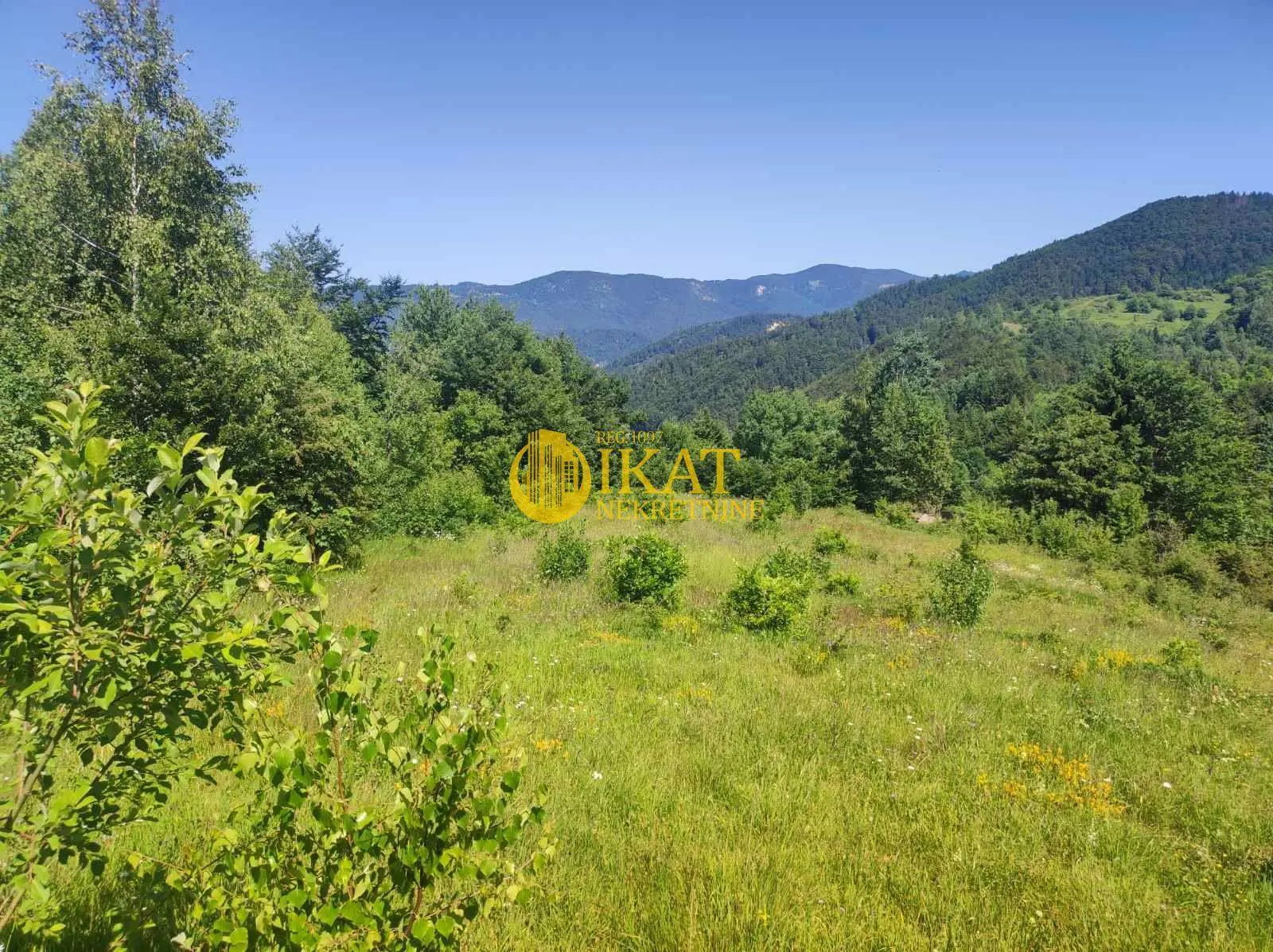 plac Tara Zaovine 49500 evra 