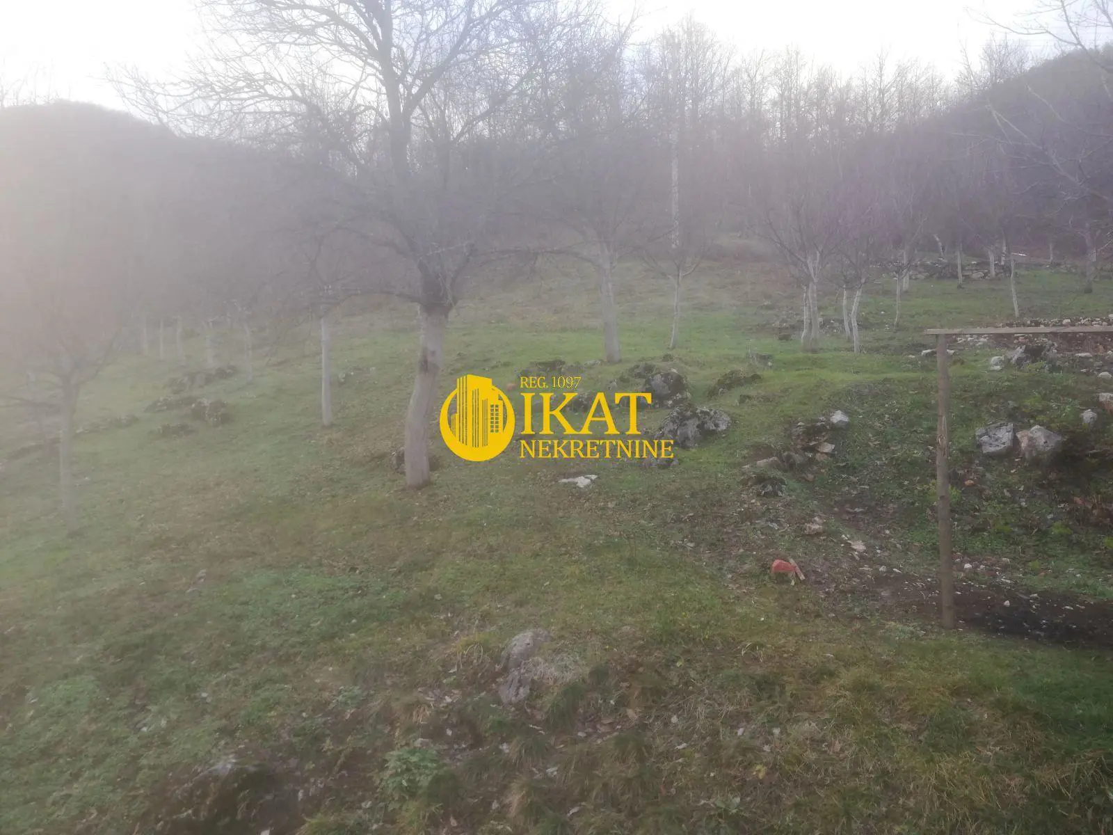 plac Tara Predov krst 15000 evra 