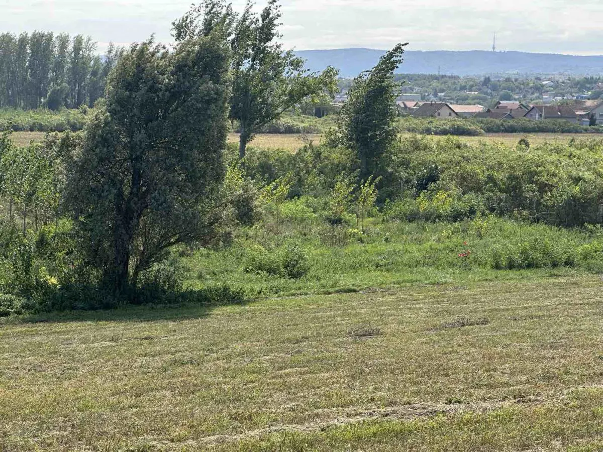 plac Novi Sad Sadovi 