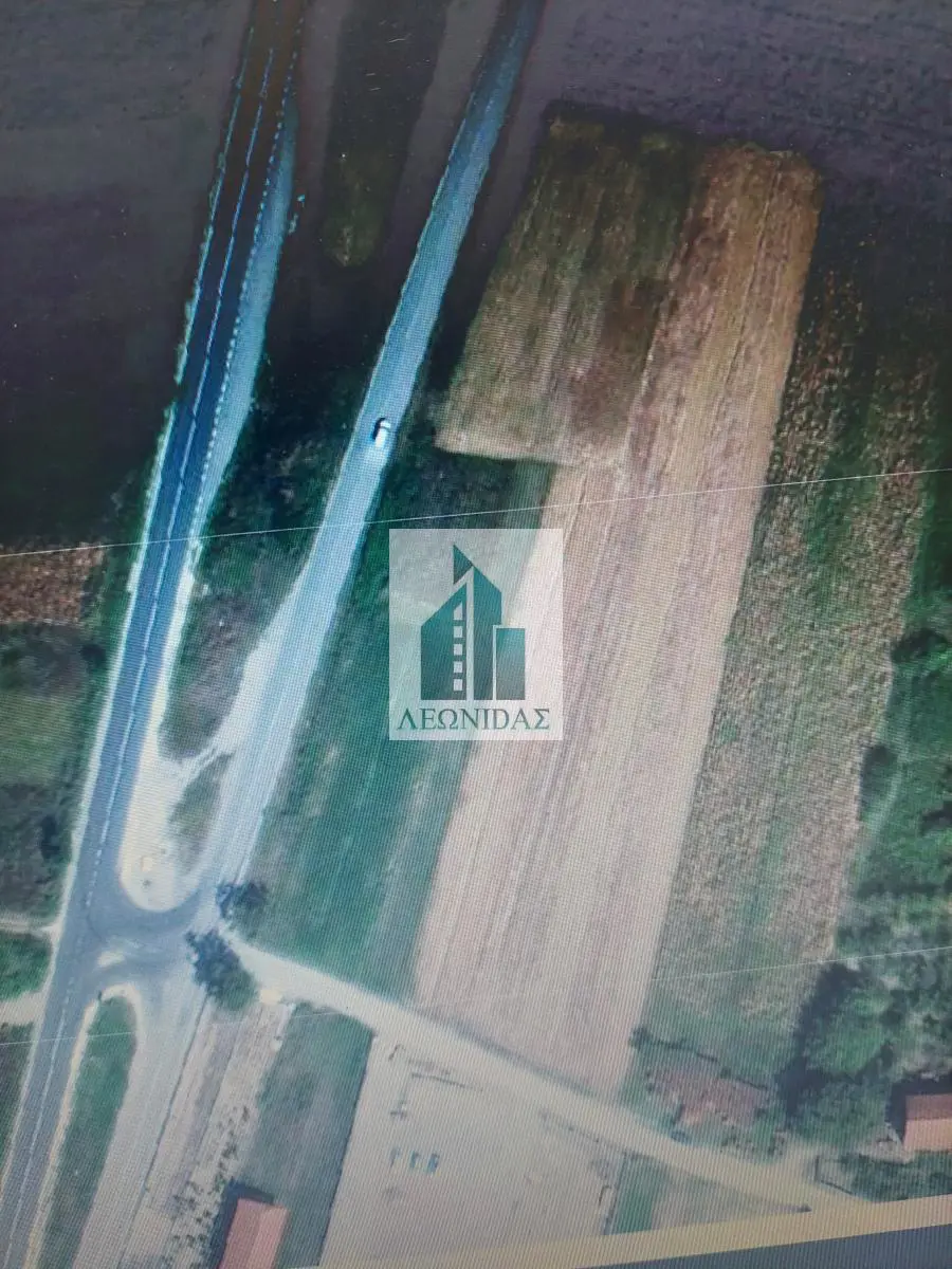 plac Palilula - 103000 evra 